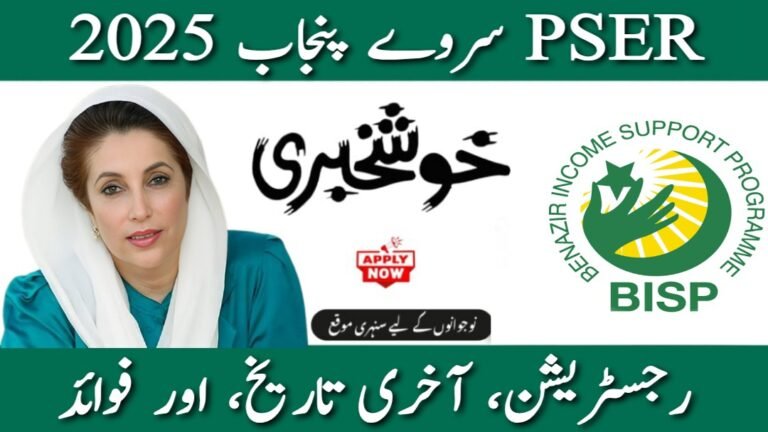 PSER Survey Punjab 2025: Complete Guide