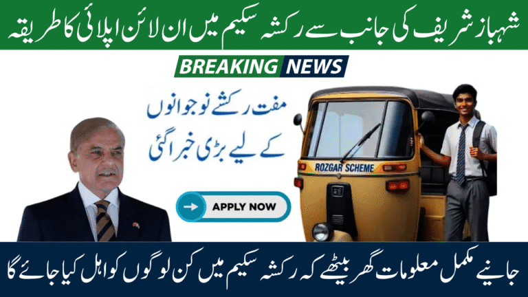PM Electric Rickshaw Scheme 2025