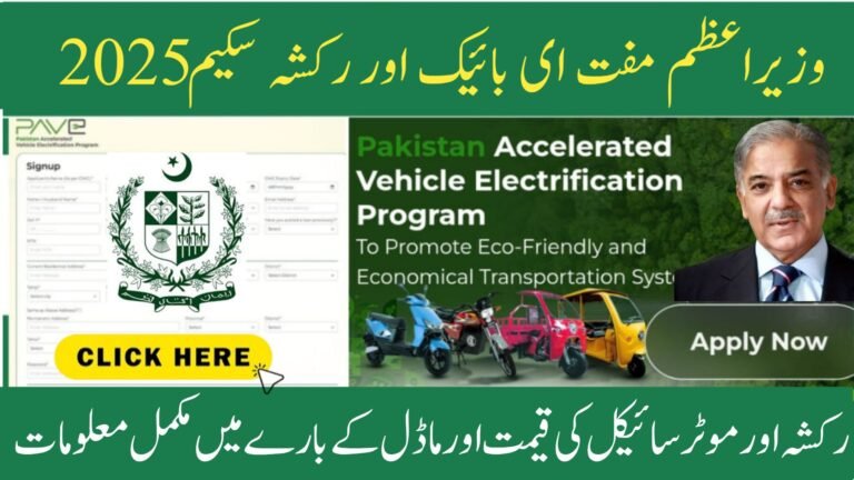 PAVE Scheme 2025 Electric Loader Rickshaw Price and Features