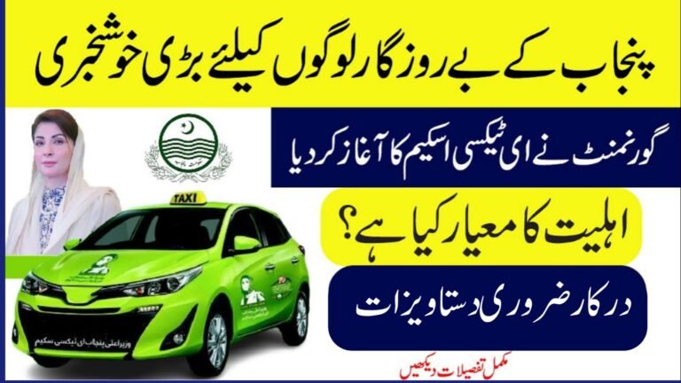Documents Needed for CM Punjab E-Taxi Scheme 2025
