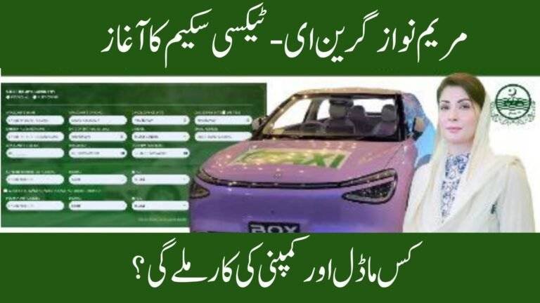 E-Taxi Models for Punjab E-Taxi Scheme 2025 – Complete Guide