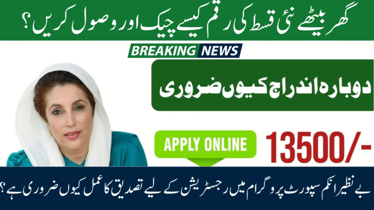 BISP 8171 Eligibility and Payment Status 2025