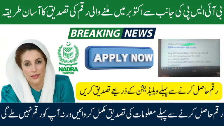 BISP October 2025 Payments Update