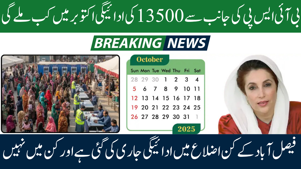 BISP 8171 October 2025 Payment Details