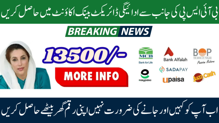 BISP 8171 Payment Verification Process