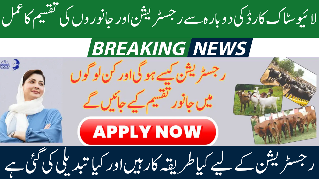 Livestock Distribution Program Punjab 2025: Free Cows and Buffaloes for Women in 12 Districts