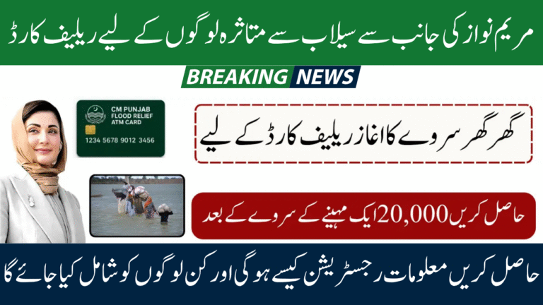 CM Punjab Flood Relief Card 2025 – Door-to-Door Survey