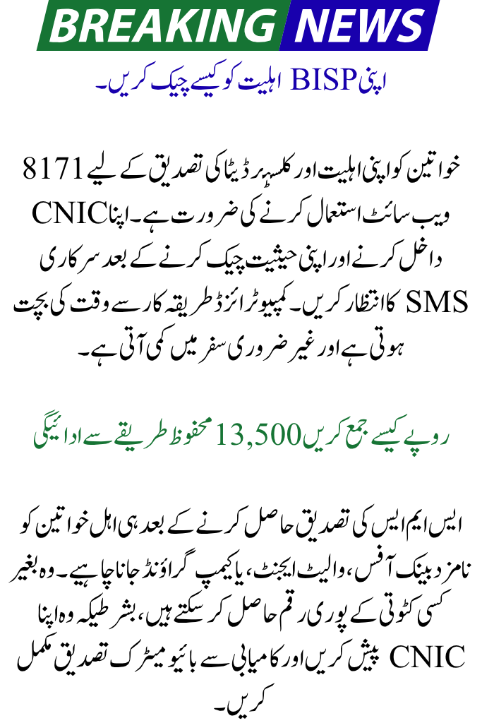 BISP 2025 Payment Cluster Distribution October