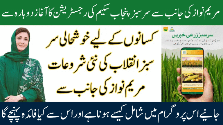 Sarsabz Punjab Scheme 2025