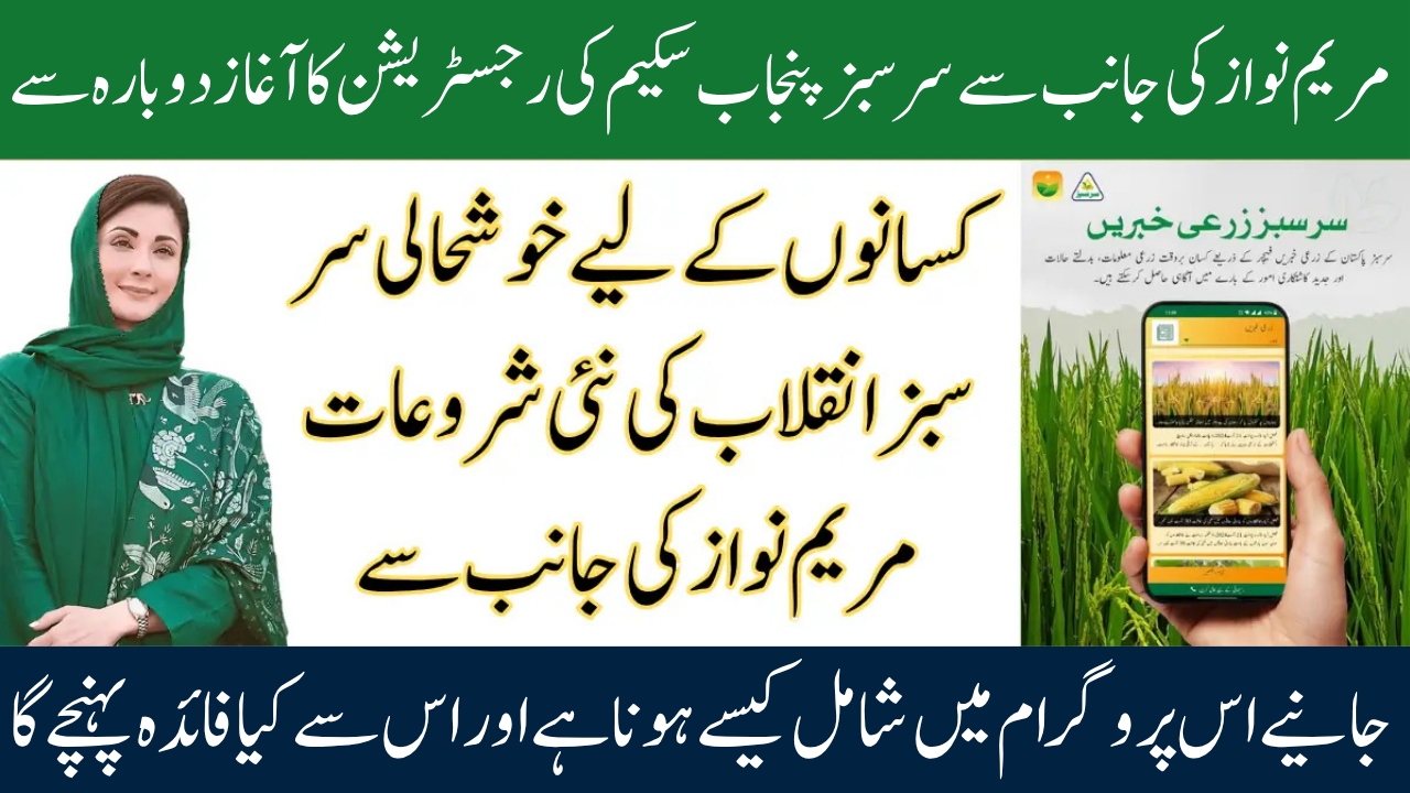 Sarsabz Punjab Scheme 2025