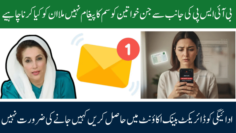 BISP Payment Missing in Wallet While Checking Through 8171 Portal