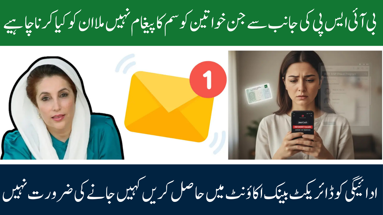 BISP Payment Missing in Wallet While Checking Through 8171 Portal