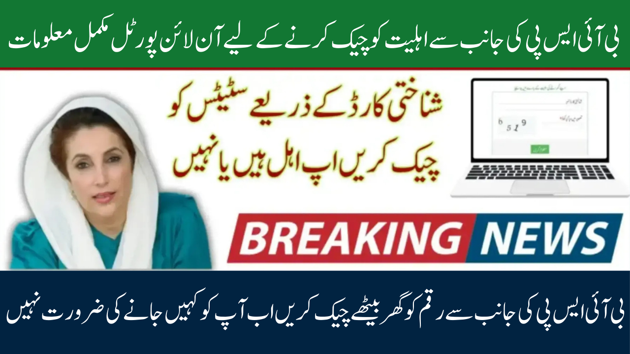 8171 CNIC Check 2025: Easy Guide to Verify BISP 13,500 Installment Online