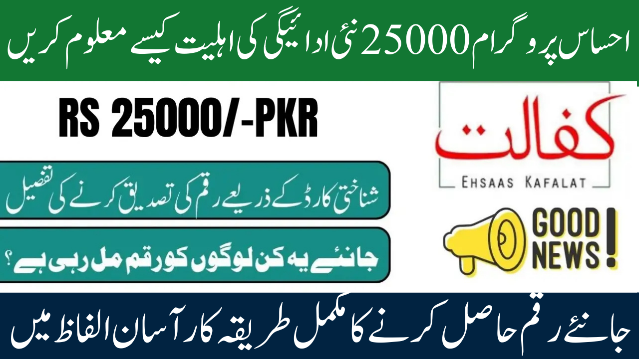 8171 Check Eligibility Criteria for Ehsaas 25000