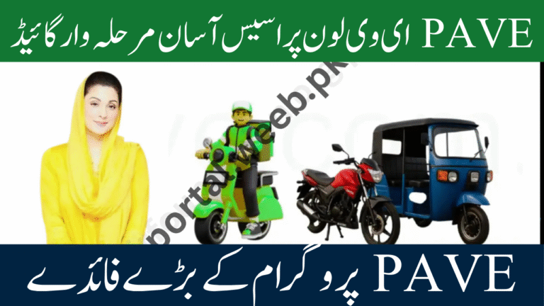 PAVE Electric Vehicle Subsidy 2025